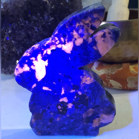 Yooperlite Bunny - Picture 4 of 4